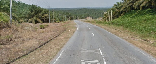 世界の車装から vol.41|サンダカン旅行２　プランテーションの森の中をひたすら走る