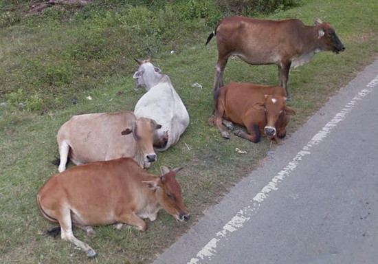 世界の車装から vol.64|コバルトブルーの海を求めてコタブルーへ